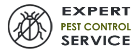 Pest Control Exterminator Plantation FL